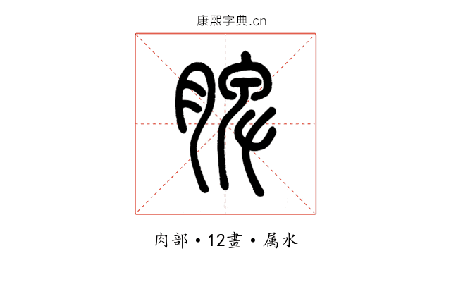 脾