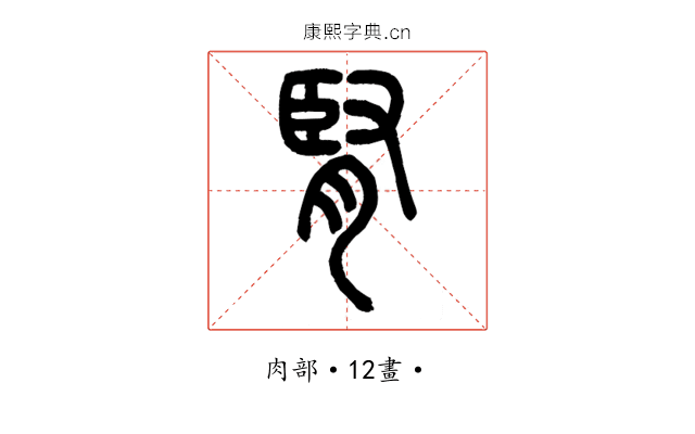 腎