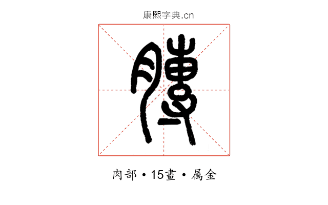 膞