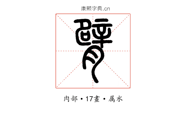臂