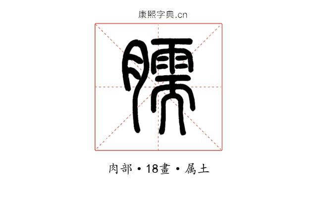 臑