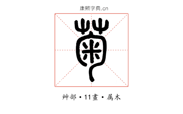 菊