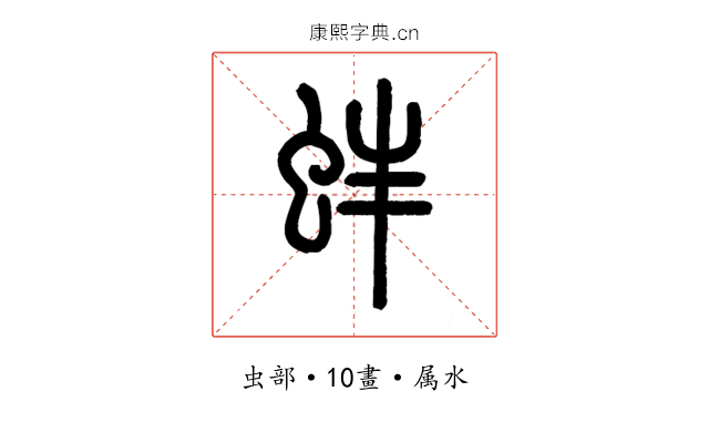 蚌