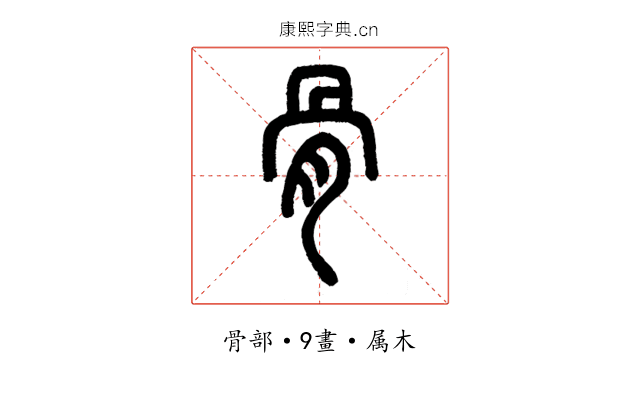 骨