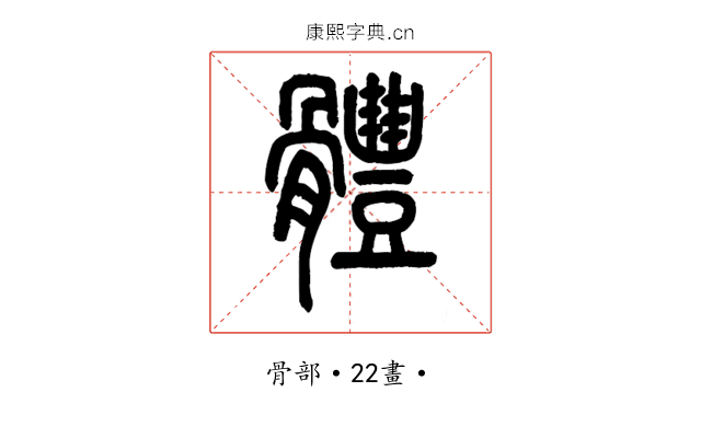 體