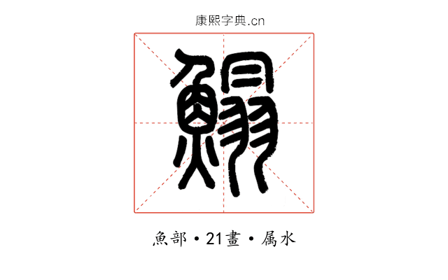 鰨