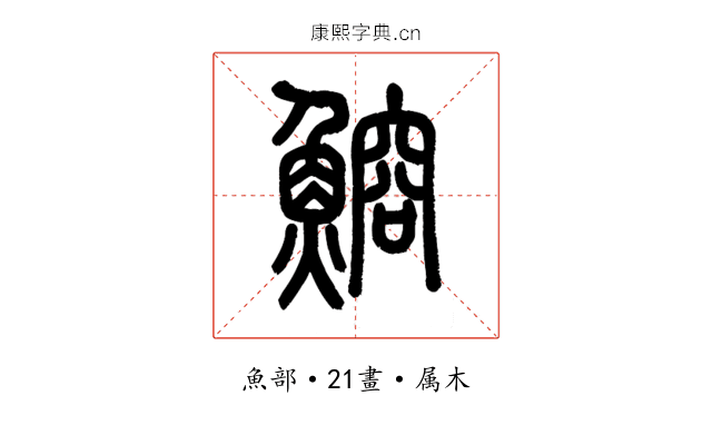 鰫