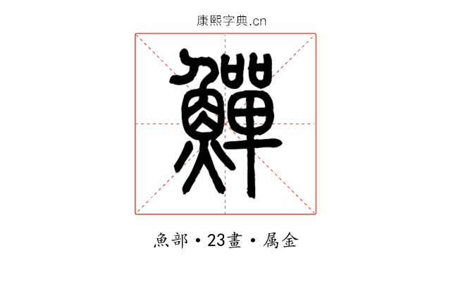 鱓