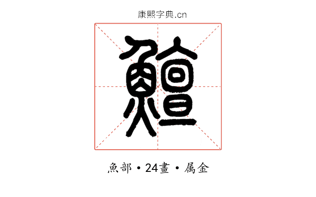 鱣