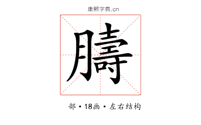 𦡴 𦡴