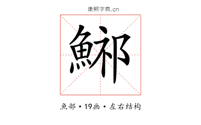 𩷾