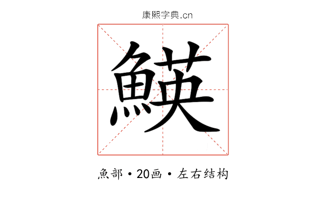 𩹅