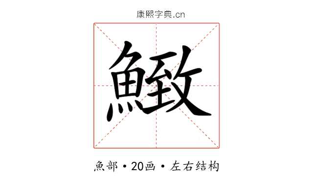 𩹈 𩹈