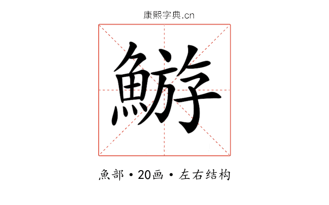 𩹊