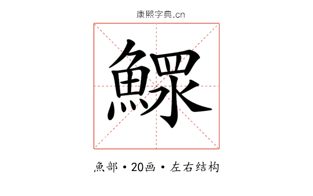 𩹌