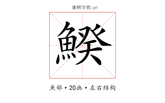 𩹍 𩹍
