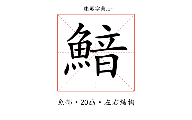 𩹎