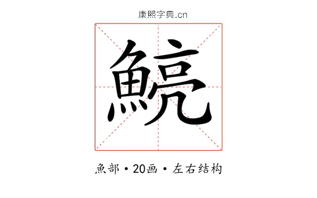 𩹗