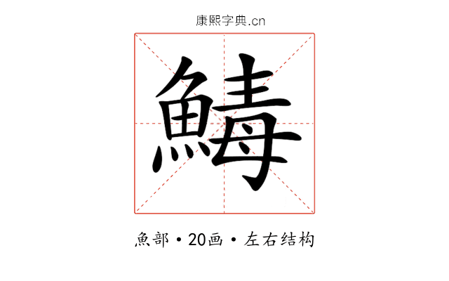 𩹝 𩹝