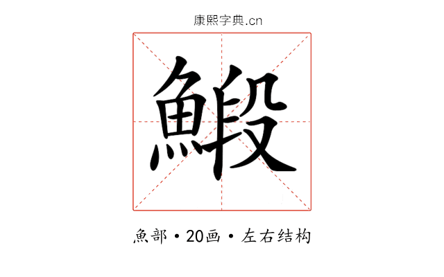 𩹨
