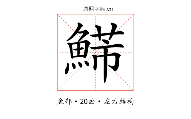 𩹩