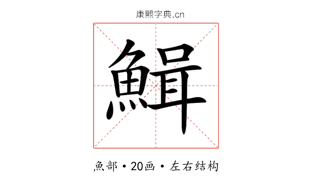 𩹫