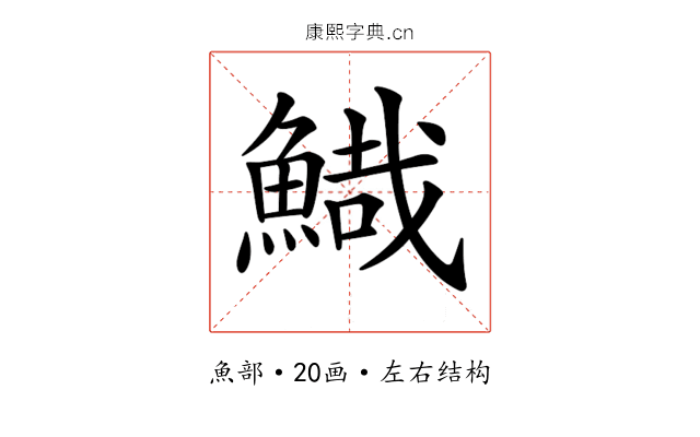 𩹯