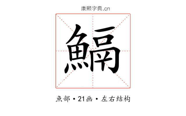 𩹺 𩹺