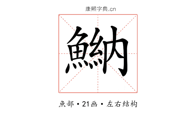 𩹾