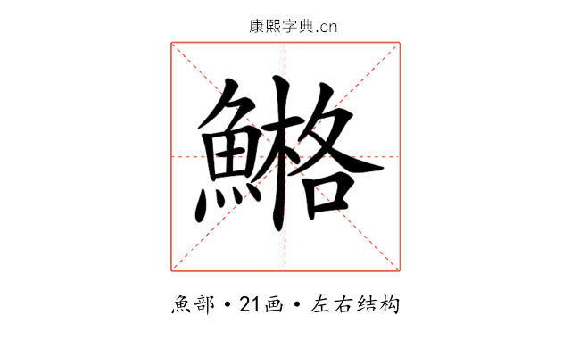 𩹿 𩹿
