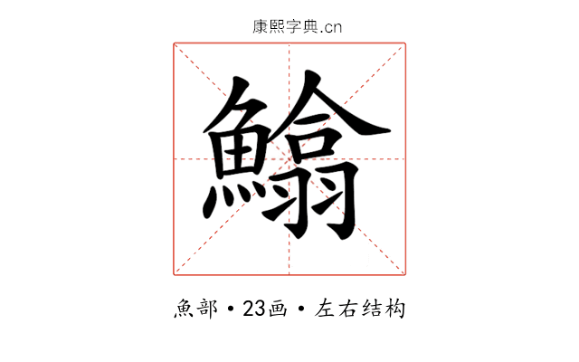 𩻵