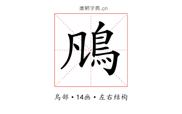 𩾨