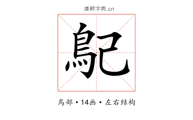 𩾩