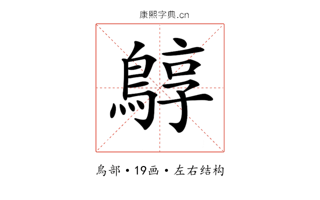 𪂎