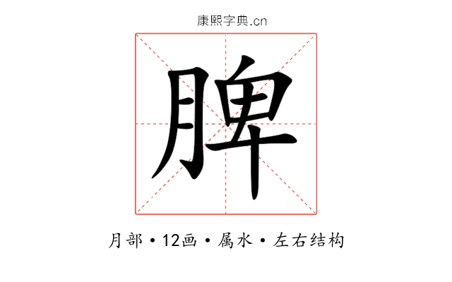 脾 脾