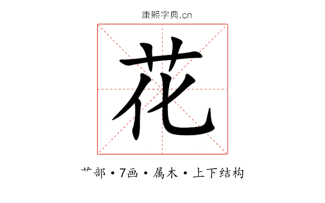 花 花