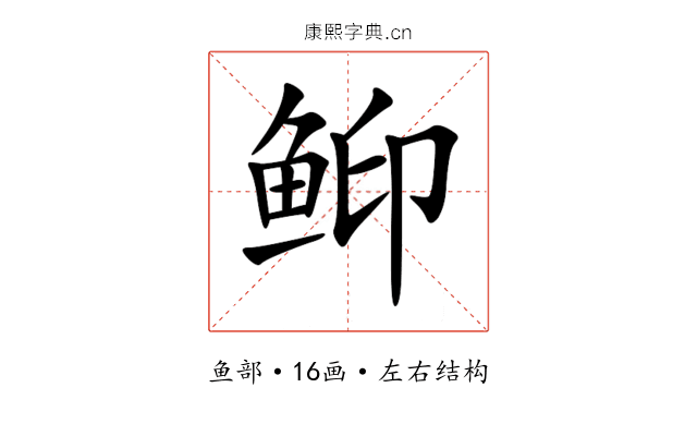 䲟 䲟