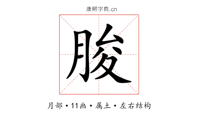 朘 朘