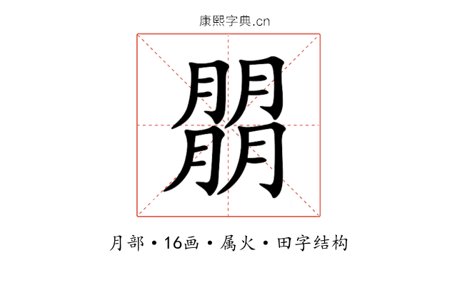 朤 朤