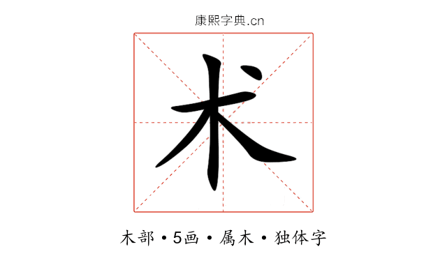 术 术