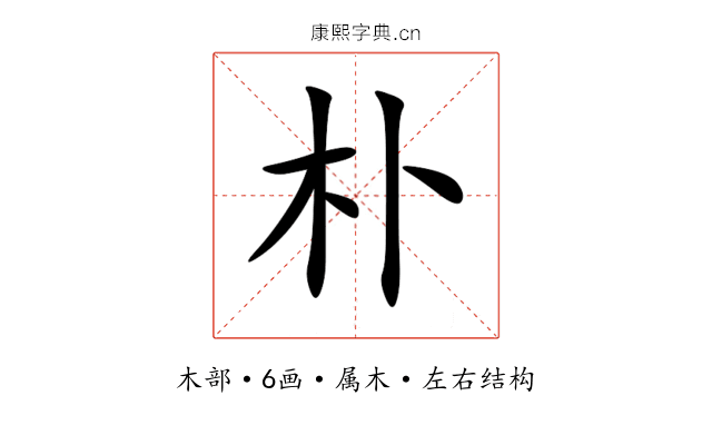 朴 朴