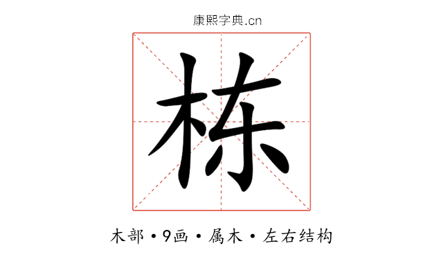 栋 栋