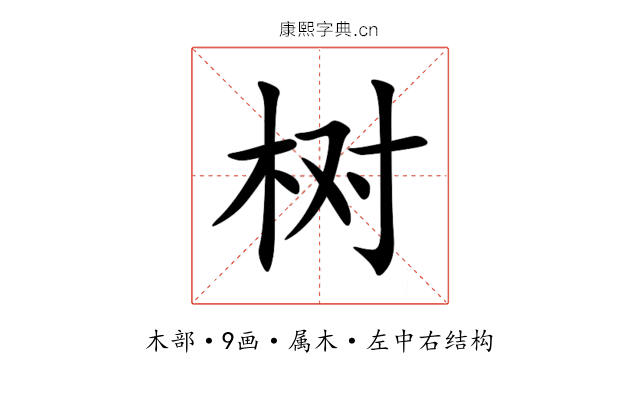 树 树