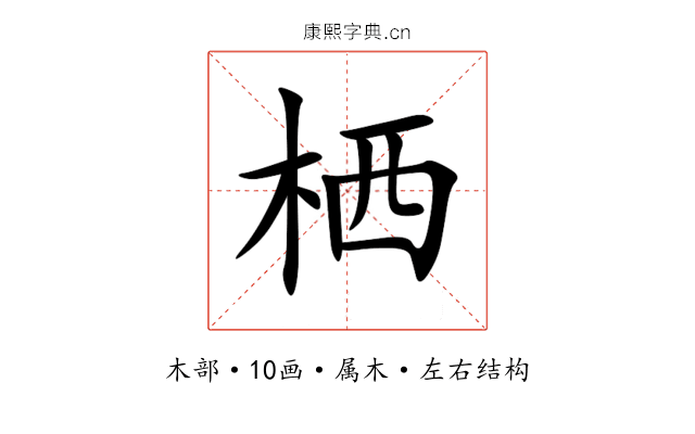 栖 栖
