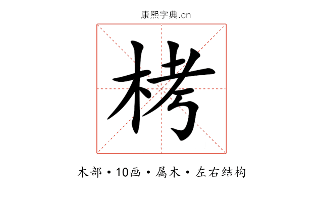 栲 栲