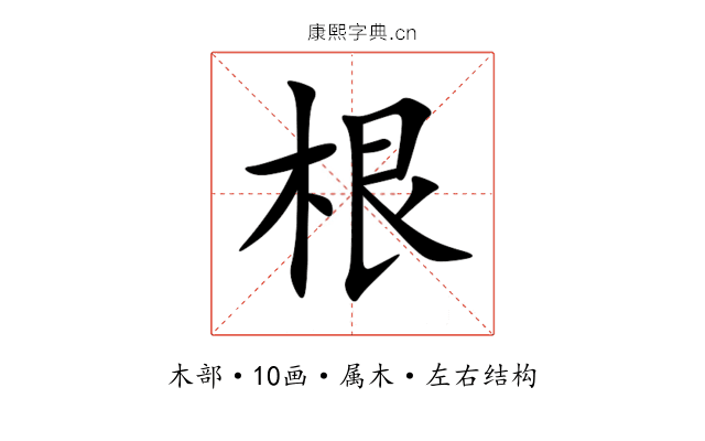 根 根