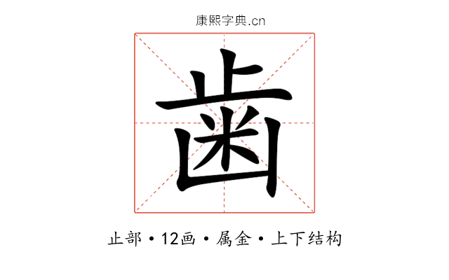 歯 歯