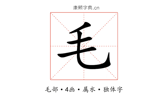 毛 毛