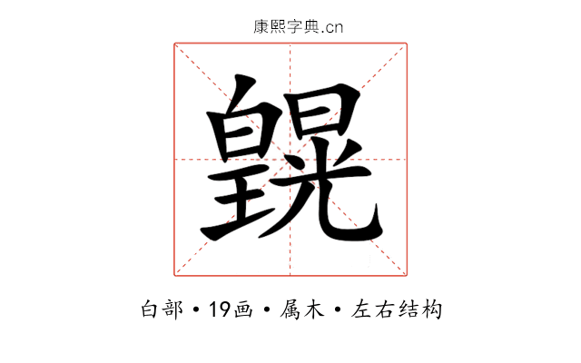 皩 皩