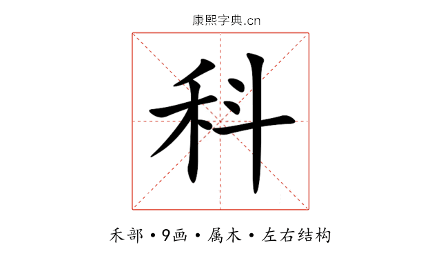 科 科